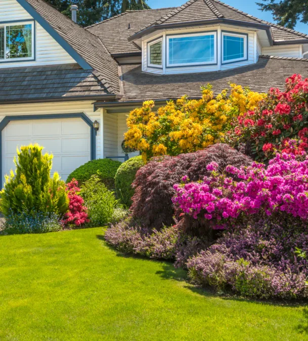 house with lawn area